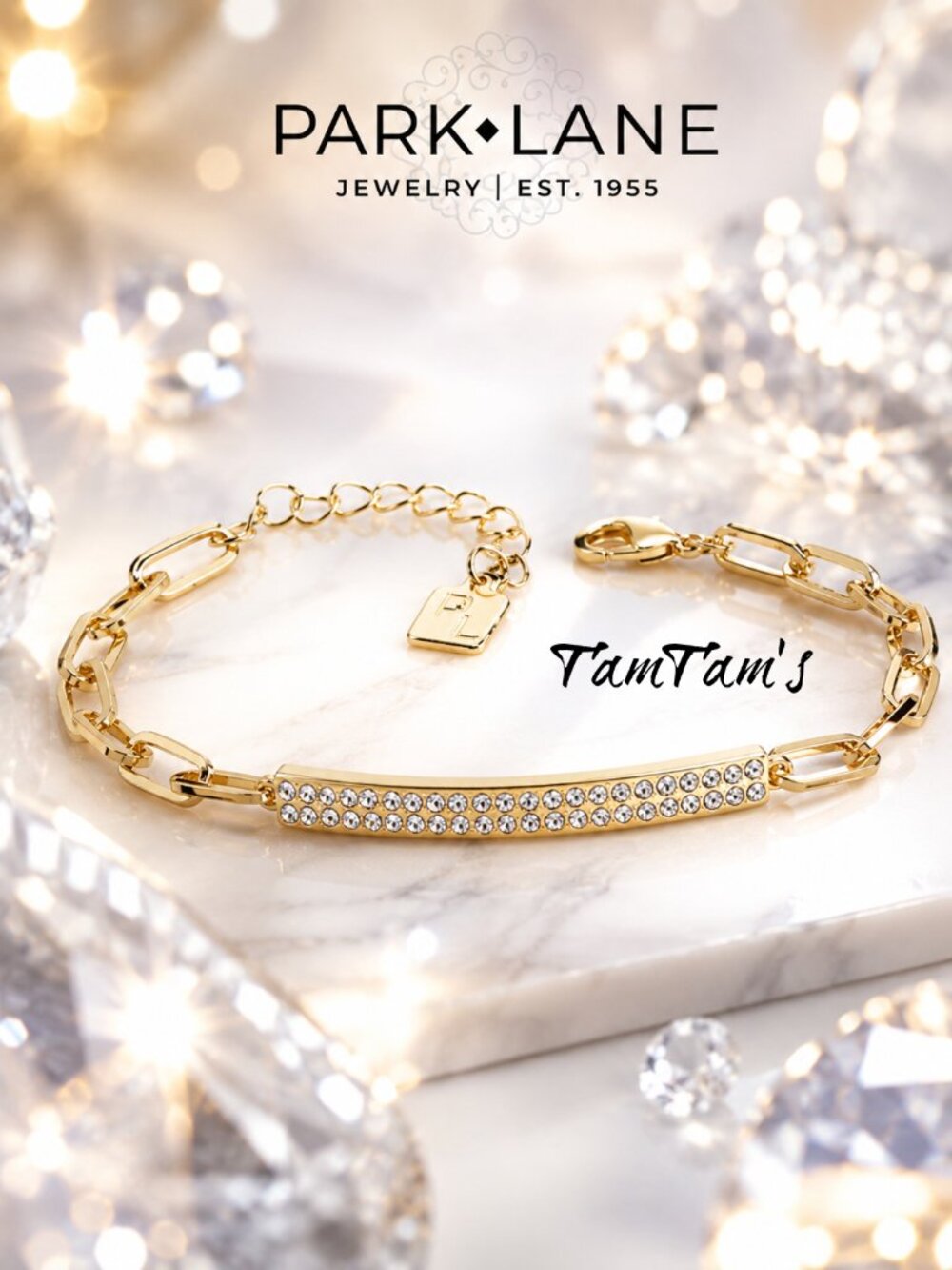 NWT Park Lane Goldie Paperclip Chain Bracelet